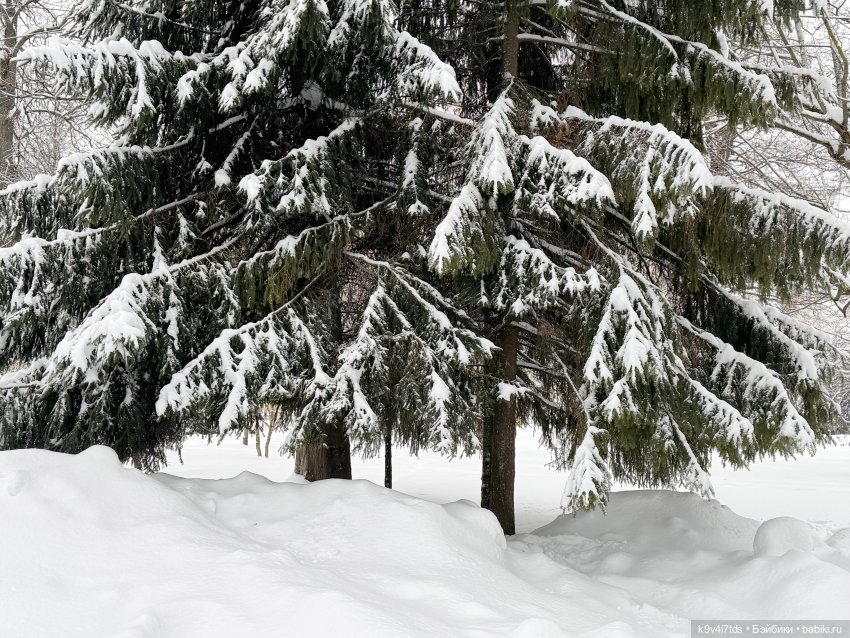Прогулка с мишками — Домашние фото авторских игрушек: Тедди (фото 9)