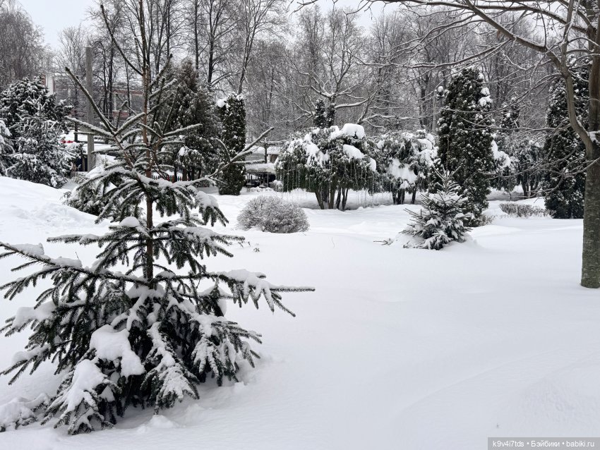 Прогулка с мишками — Домашние фото авторских игрушек: Тедди