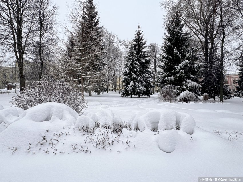 Прогулка с мишками — Домашние фото авторских игрушек: Тедди