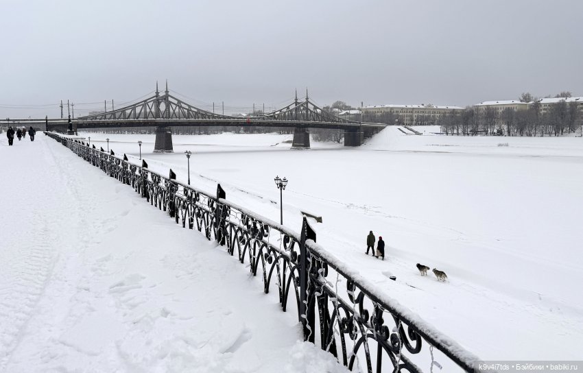 Прогулка с мишками — Домашние фото авторских игрушек: Тедди