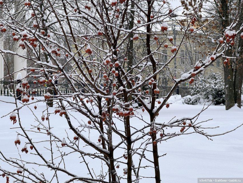 Прогулка с мишками — Домашние фото авторских игрушек: Тедди (фото 3)