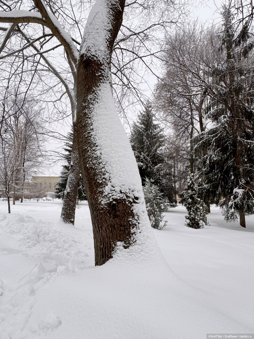 Прогулка с мишками — Домашние фото авторских игрушек: Тедди