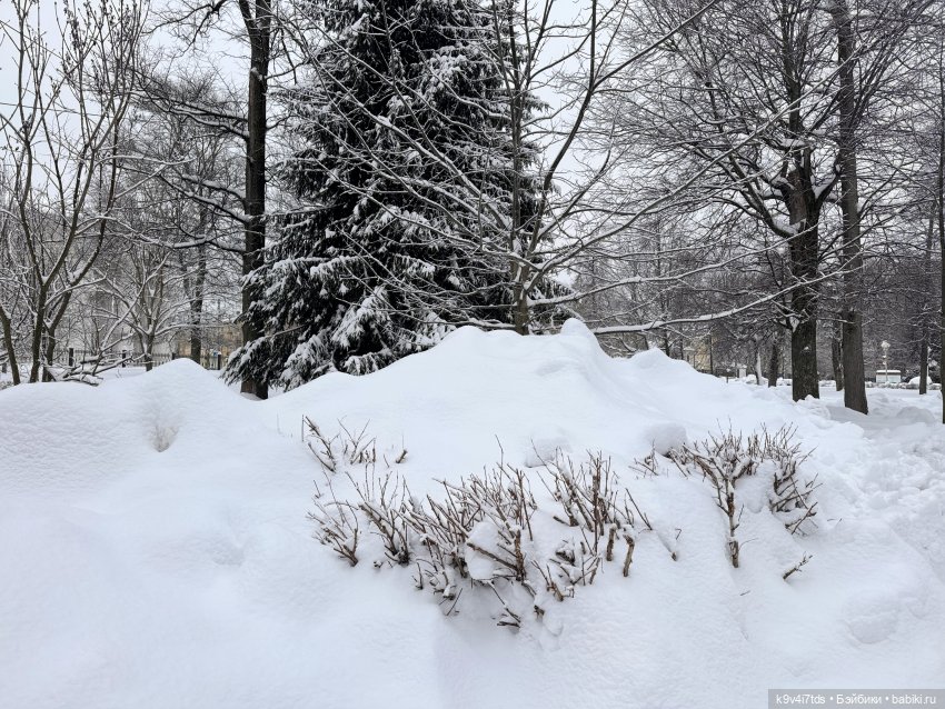 Прогулка с мишками — Домашние фото авторских игрушек: Тедди (фото 7)