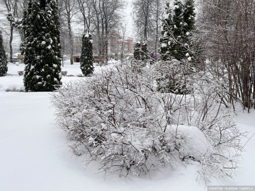 Прогулка с мишками — Домашние фото авторских игрушек: Тедди
