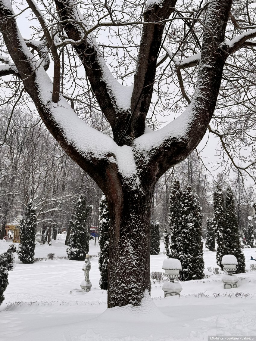 Прогулка с мишками — Домашние фото авторских игрушек: Тедди