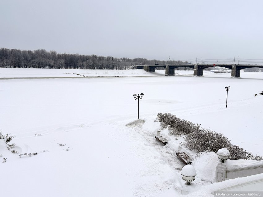 Прогулка с мишками — Домашние фото авторских игрушек: Тедди