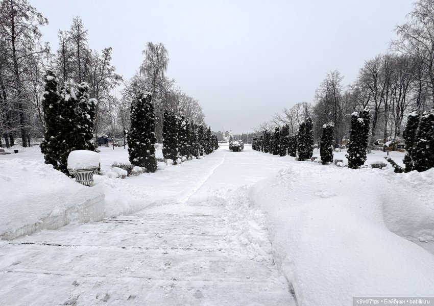 Прогулка с мишками — Домашние фото авторских игрушек: Тедди