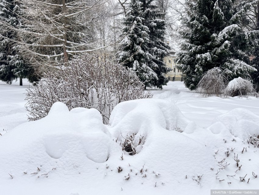 Прогулка с мишками — Домашние фото авторских игрушек: Тедди