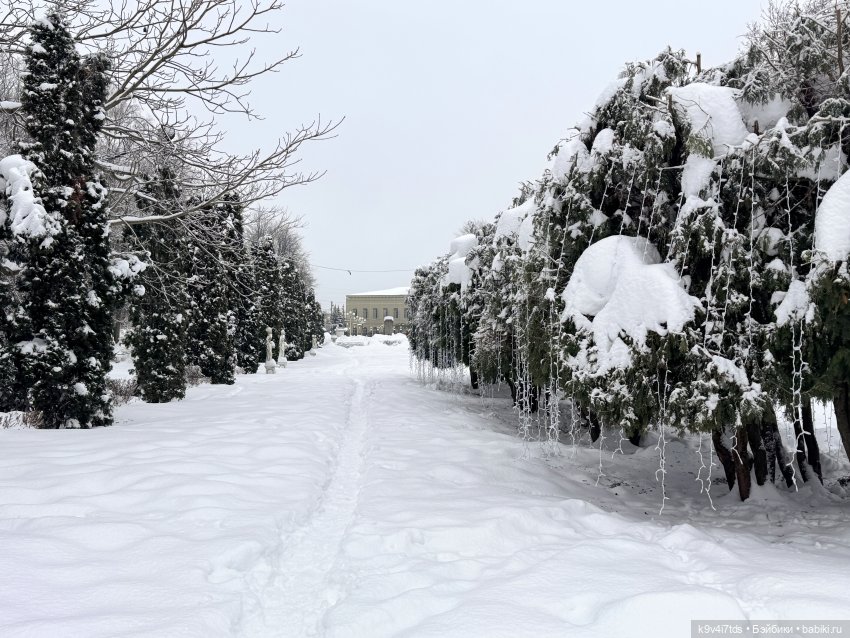 Прогулка с мишками — Домашние фото авторских игрушек: Тедди