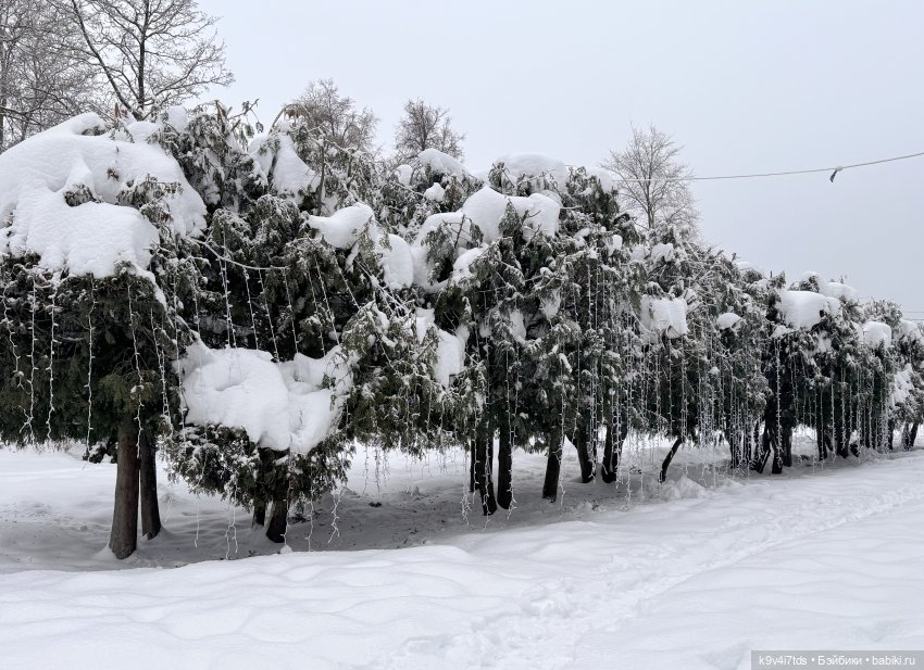 Прогулка с мишками — Домашние фото авторских игрушек: Тедди