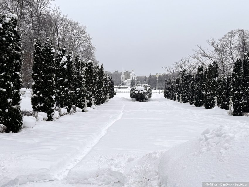 Прогулка с мишками — Домашние фото авторских игрушек: Тедди