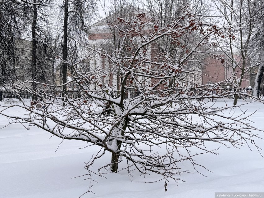 Прогулка с мишками — Домашние фото авторских игрушек: Тедди (фото 4)