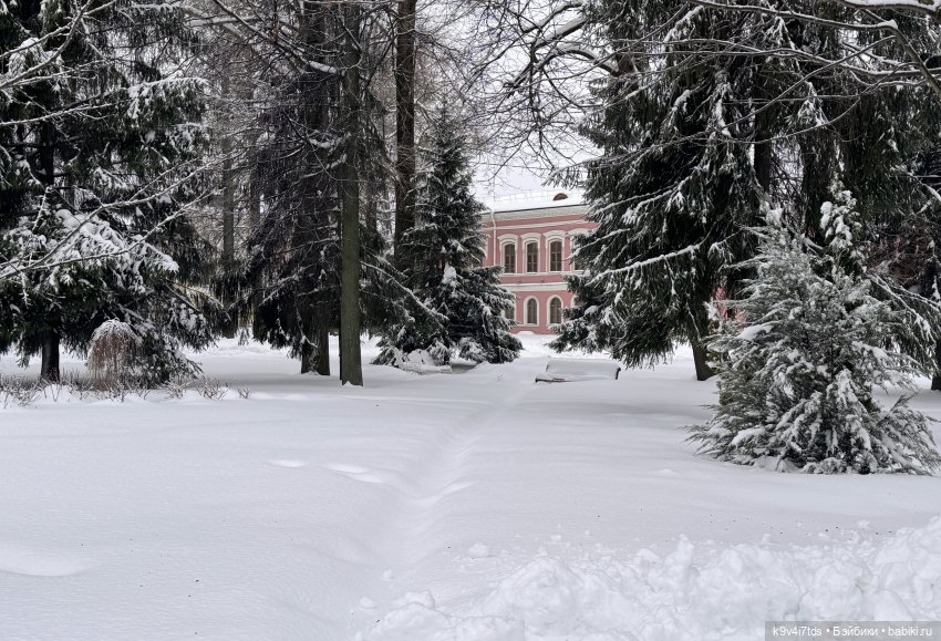 Прогулка с мишками — Домашние фото авторских игрушек: Тедди
