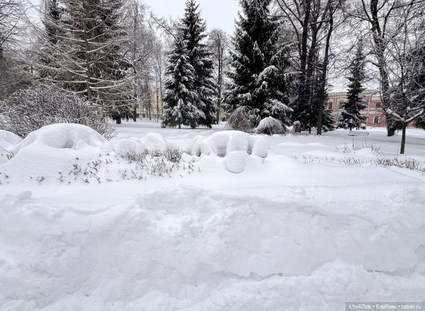 Прогулка с мишками — Домашние фото авторских игрушек: Тедди