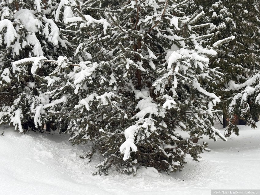 Прогулка с мишками — Домашние фото авторских игрушек: Тедди