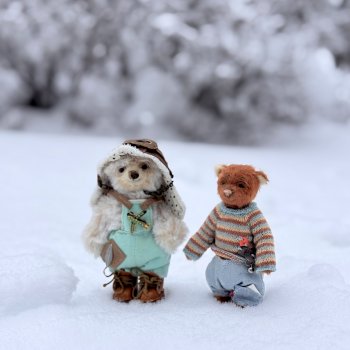 Прогулка с мишками