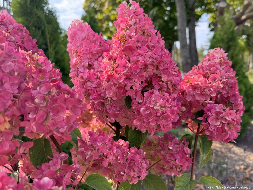 Там, где Сказки живут — Куклы Sylvia Natterer (Сильвия Наттерер): Gotz