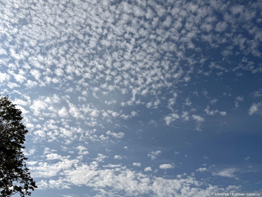 Там, где Сказки живут, продолжение (фото 8)