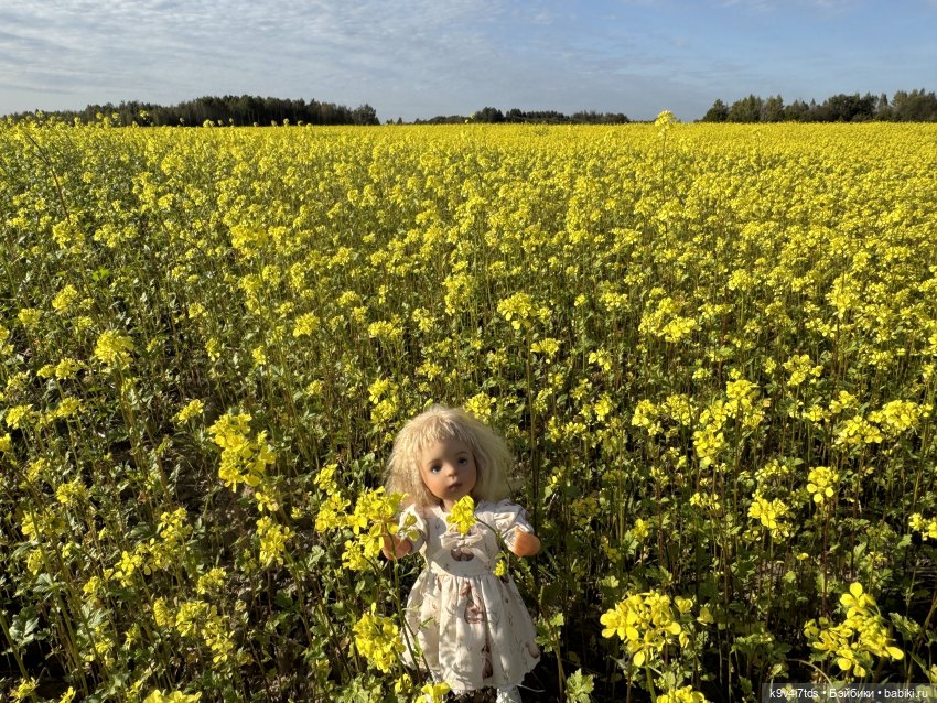 Там, где Сказки живут, заключительная часть