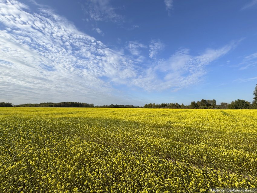 Там, где Сказки живут, заключительная часть