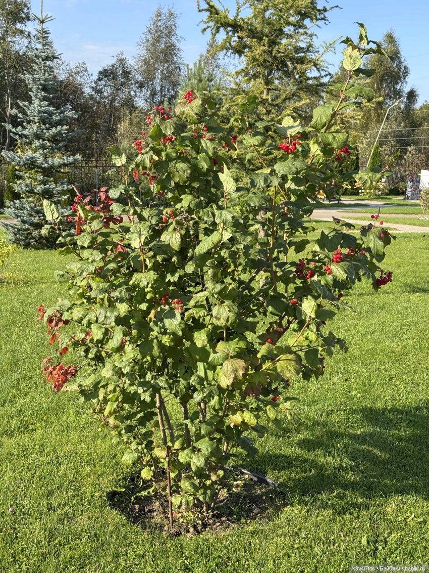 Там, где Сказки живут, заключительная часть (фото 10)
