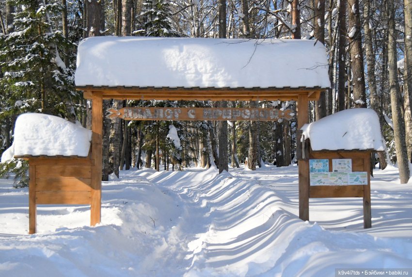 Праздник Солнца в "Василёво" (фото 6)