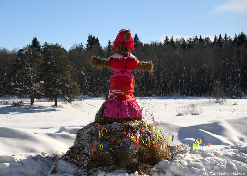 Праздник Солнца в "Василёво" (фото 4)