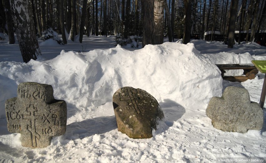 Праздник Солнца в "Василёво" (фото 5)