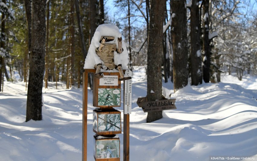 Праздник Солнца в "Василёво"