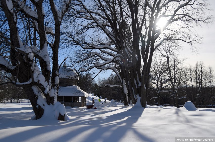 Праздник Солнца в "Василёво"