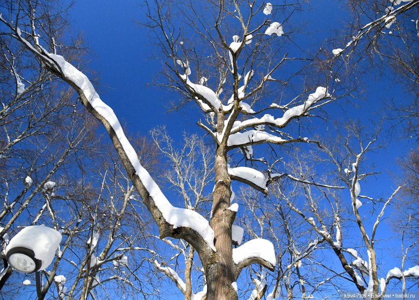 Праздник Солнца в "Василёво"