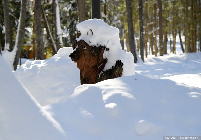 Праздник Солнца в "Василёво"