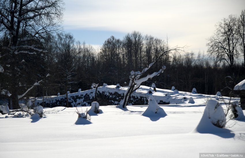 Праздник Солнца в "Василёво"