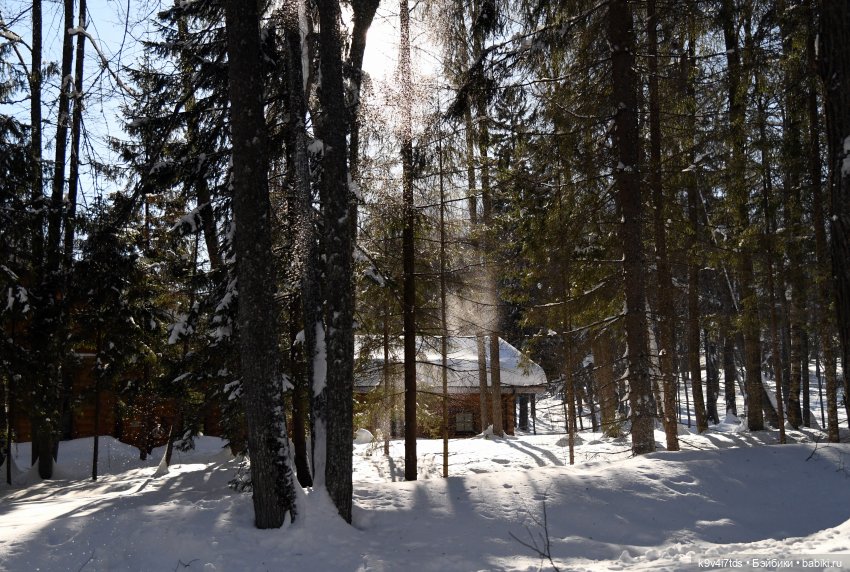 Праздник Солнца в "Василёво"