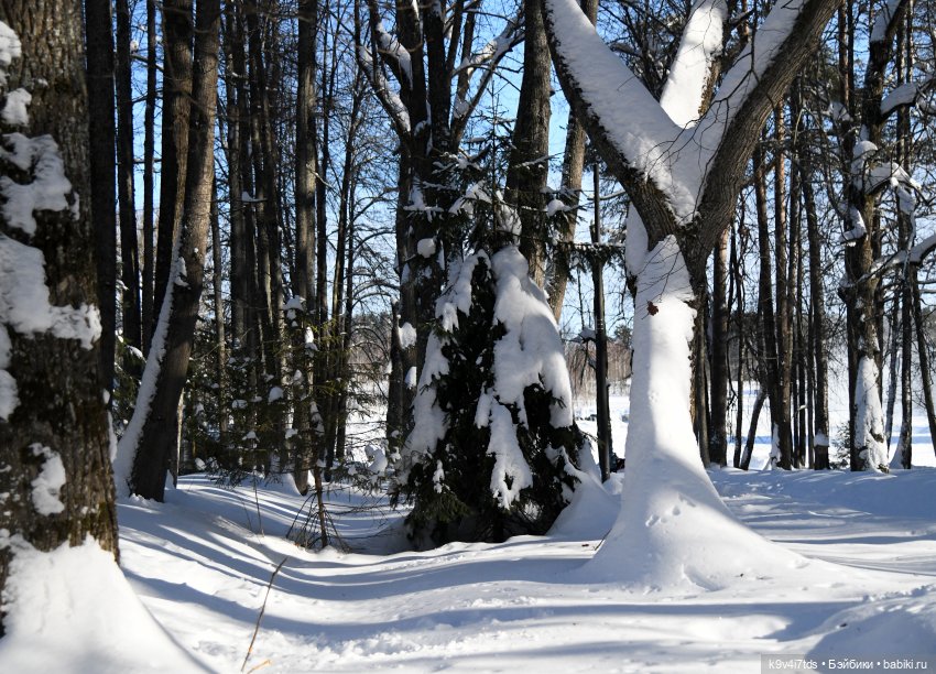 Праздник Солнца в "Василёво"