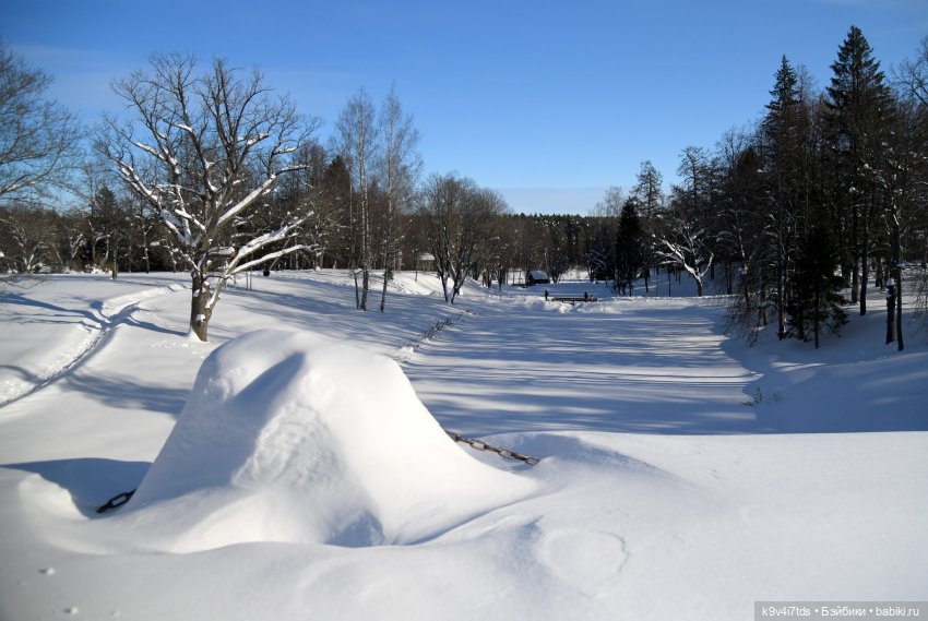 Праздник Солнца в "Василёво"