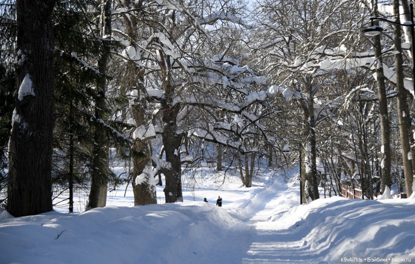 Праздник Солнца в "Василёво"