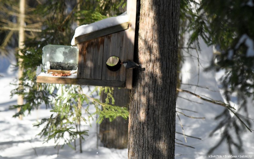 Праздник Солнца в "Василёво"