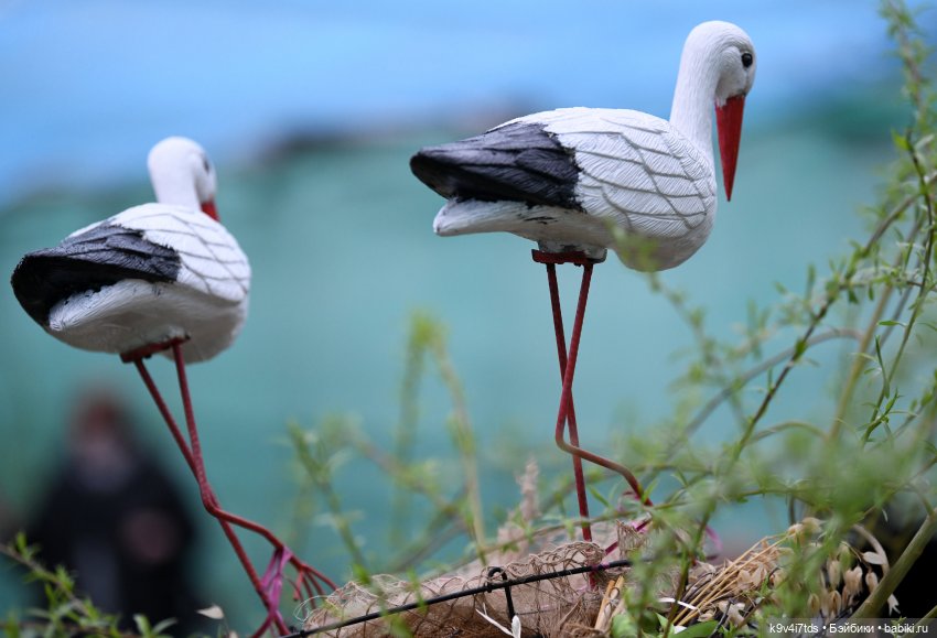 Семья Жу встречает Весну — Авторские куклы BJD (БЖД) у нас дома: фото