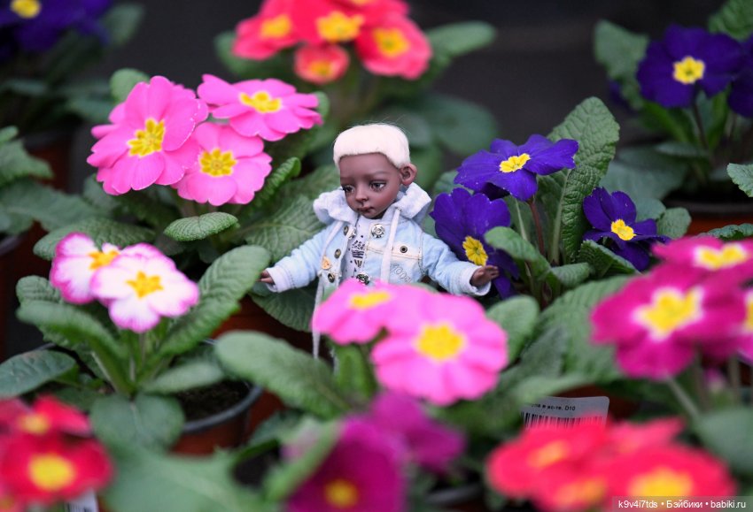 Семья Жу встречает Весну — Авторские куклы BJD (БЖД) у нас дома: фото