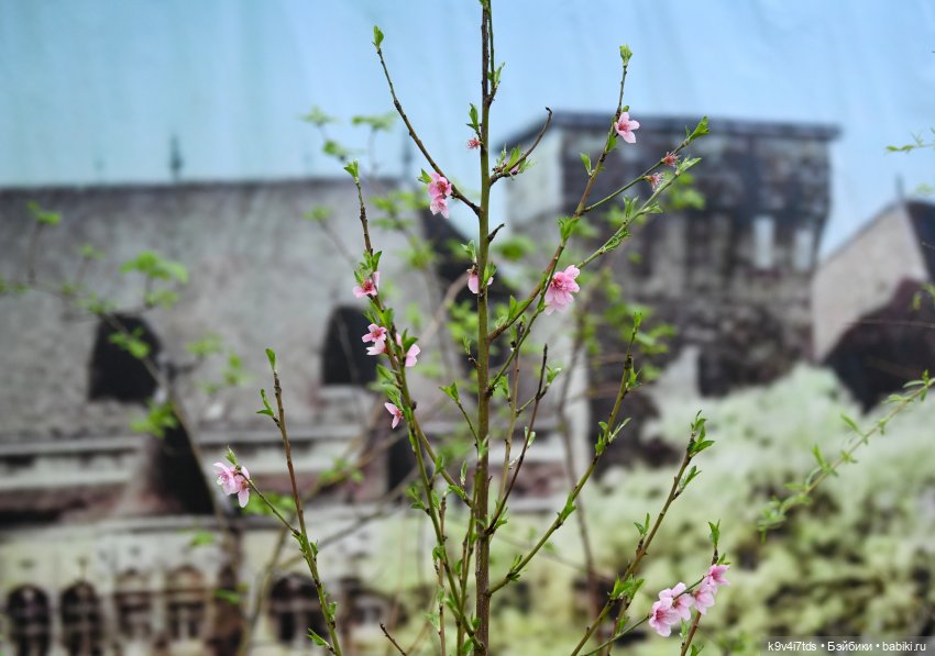 Семья Жу встречает Весну — Авторские куклы BJD (БЖД) у нас дома: фото