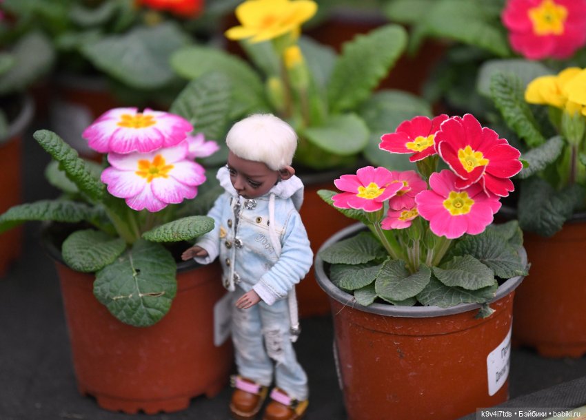 Семья Жу встречает Весну — Авторские куклы BJD (БЖД) у нас дома: фото