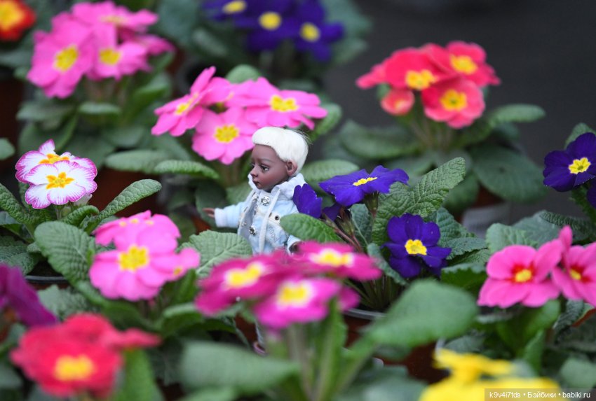 Семья Жу встречает Весну — Авторские куклы BJD (БЖД) у нас дома: фото