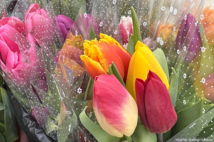 Девочки, с 8 Марта — Куклы Sylvia Natterer (Сильвия Наттерер): Gotz