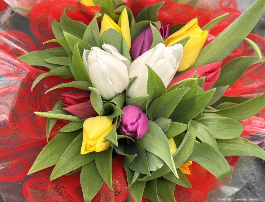 Девочки, с 8 Марта — Куклы Sylvia Natterer (Сильвия Наттерер): Gotz (фото 4)