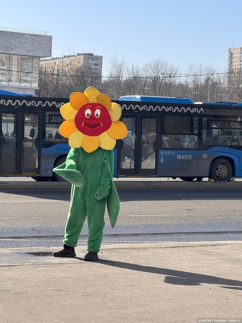 Жу в Москве — Авторские куклы BJD (БЖД) у нас дома: фото