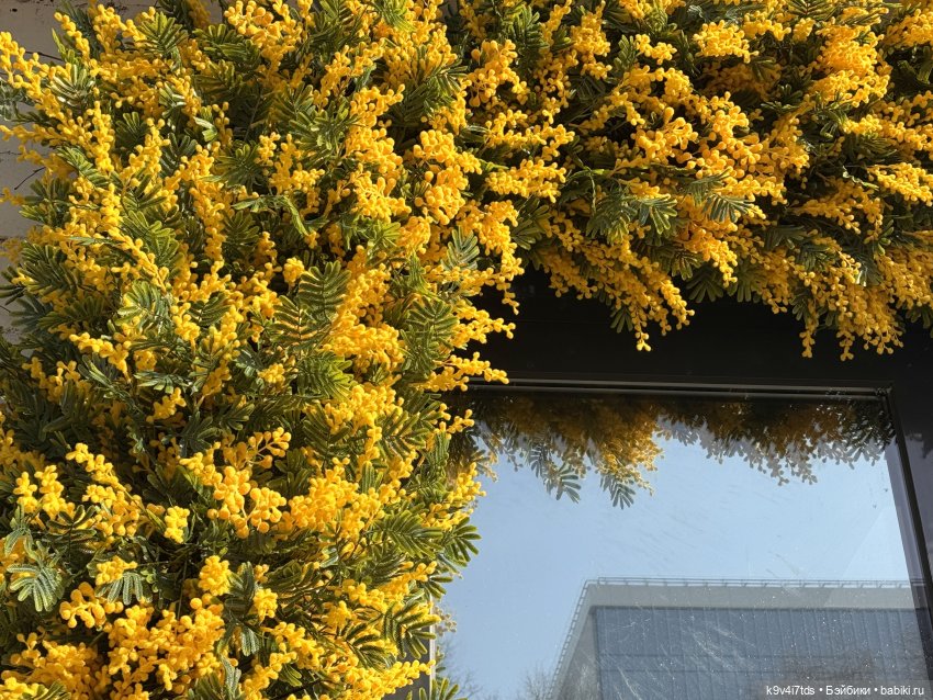 Жу в Москве — Авторские куклы BJD (БЖД) у нас дома: фото (фото 9)