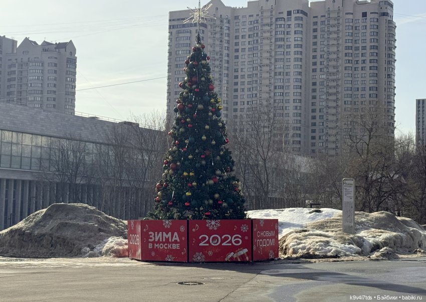 Жу в Москве — Авторские куклы BJD (БЖД) у нас дома: фото