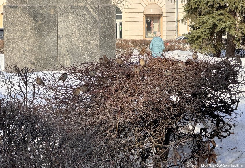 Весна в Твери — Авторские куклы BJD (БЖД) у нас дома: фото