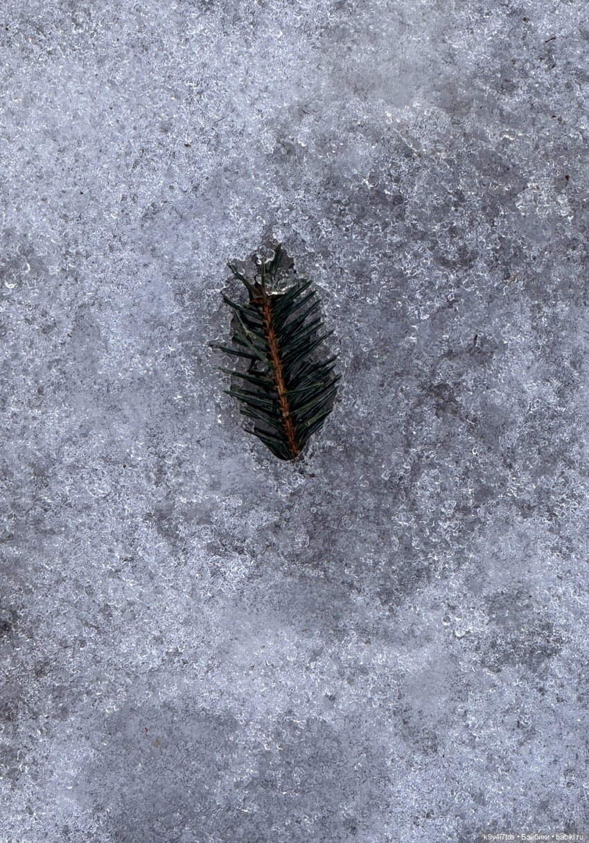 Весна в Твери — Авторские куклы BJD (БЖД) у нас дома: фото